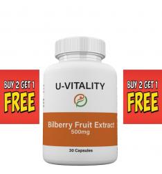bilberry_fruit_extract1