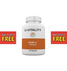 SAM-e_500 mg3